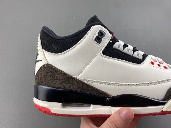 Air Jordan 3 Retro World